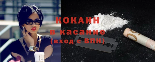 прущий лед Дмитриев