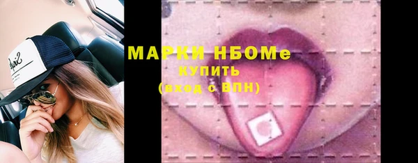 прущий лед Дмитриев