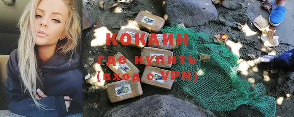 прущий лед Дмитриев