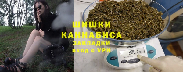 прущий лед Дмитриев