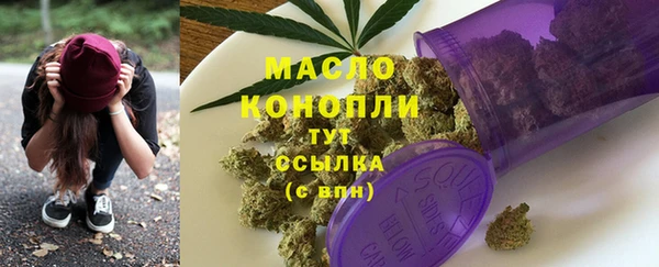 прущий лед Дмитриев