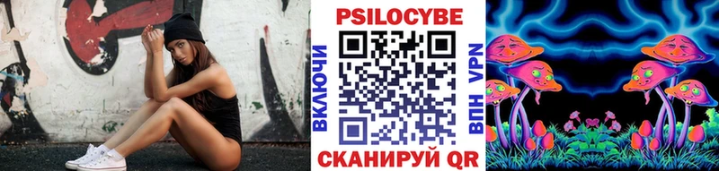 Купить  Кадников  Галлюциногенные грибы мицелий 